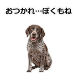 856114076