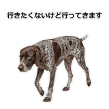 856114077