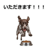 856114080