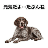 856114083