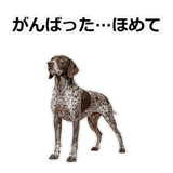 856114085