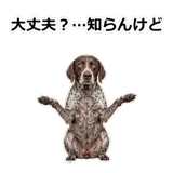 856114088