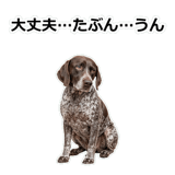 856114089