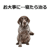 856114090