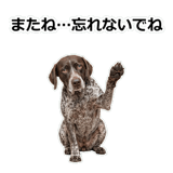856114091
