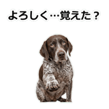 856114092