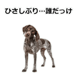 856114093