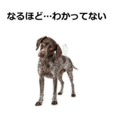 856114096