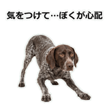 856114099