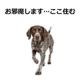 856114103
