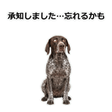 856114111