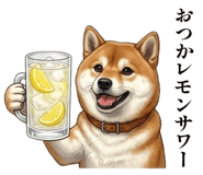 856114234
