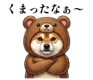 856114243