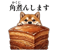 856114253