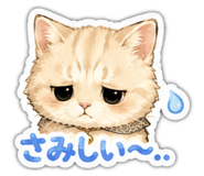 856114545