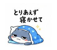 856114603