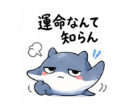 856114605
