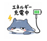 856114606