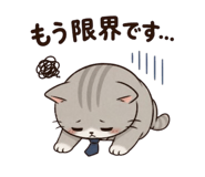 856114784