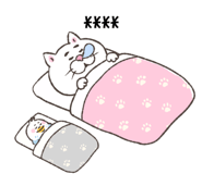 856114971
