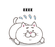 856114992