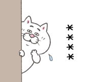 856115004