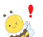 856115116
