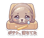856115624