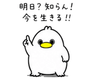 856115637
