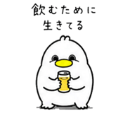 856115638