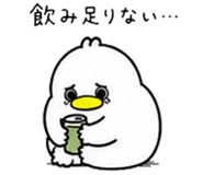 856115647
