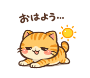 856115666
