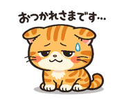 856115668