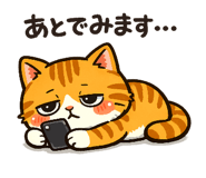 856115675