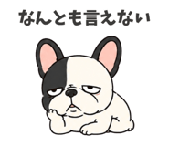 856115681
