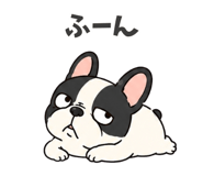 856115684