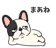 856115690