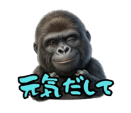 856115749