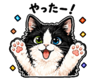 856115849