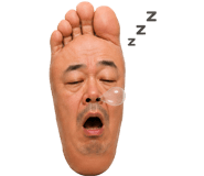 856116058
