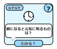 856116162