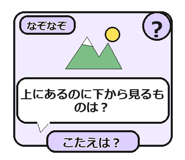 856116165
