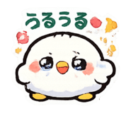 856116426