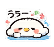 856116431