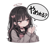 856116558