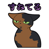 856116950