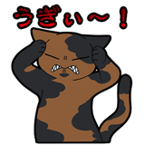 856116953