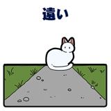 856116969