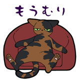 856116972