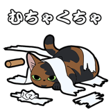 856116974